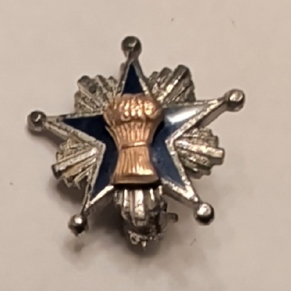 Vintage Sterling Silver and Blue Star Brooch
